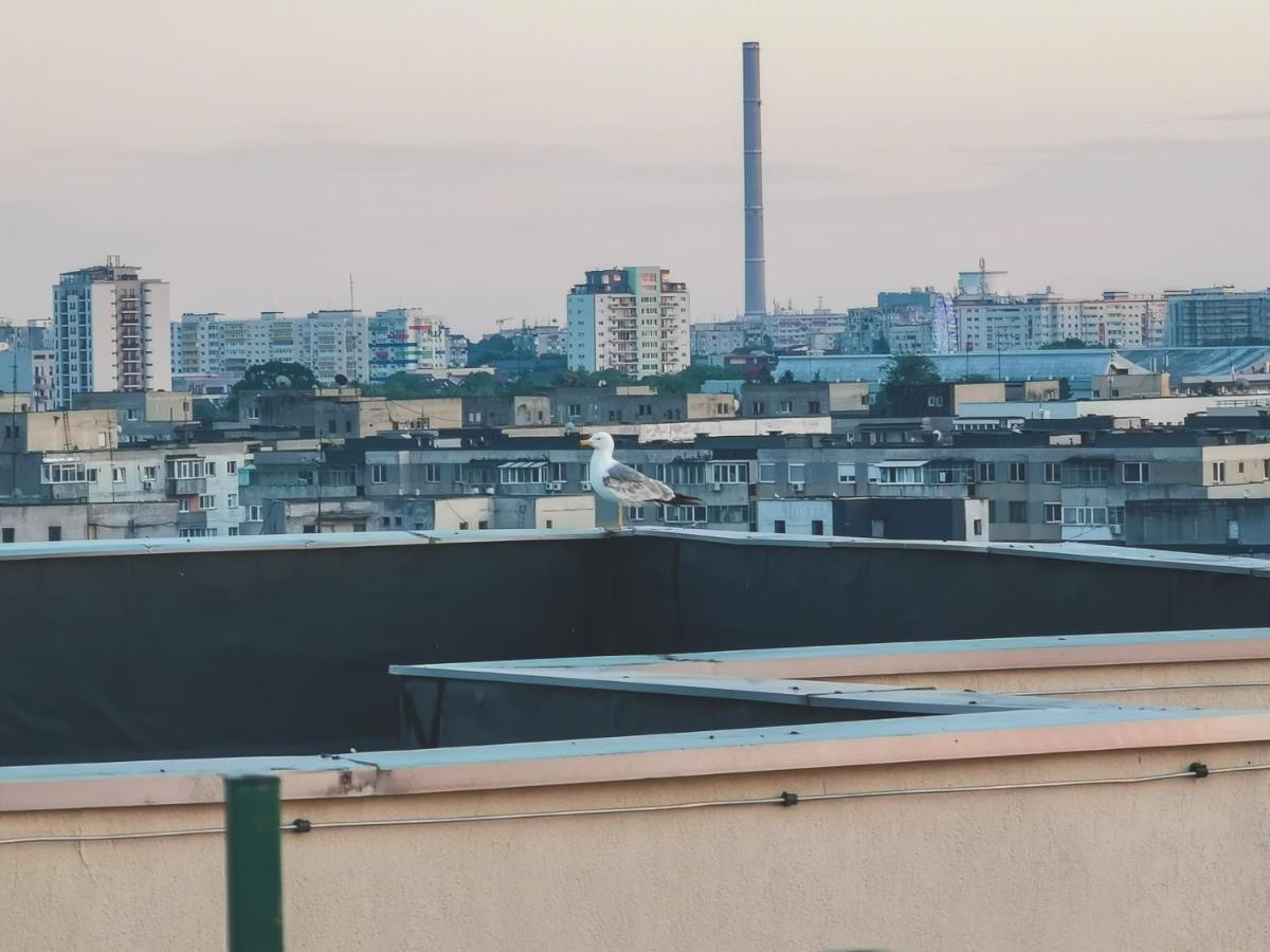 Downtown Penthouse With Fantastic Views Bucarest