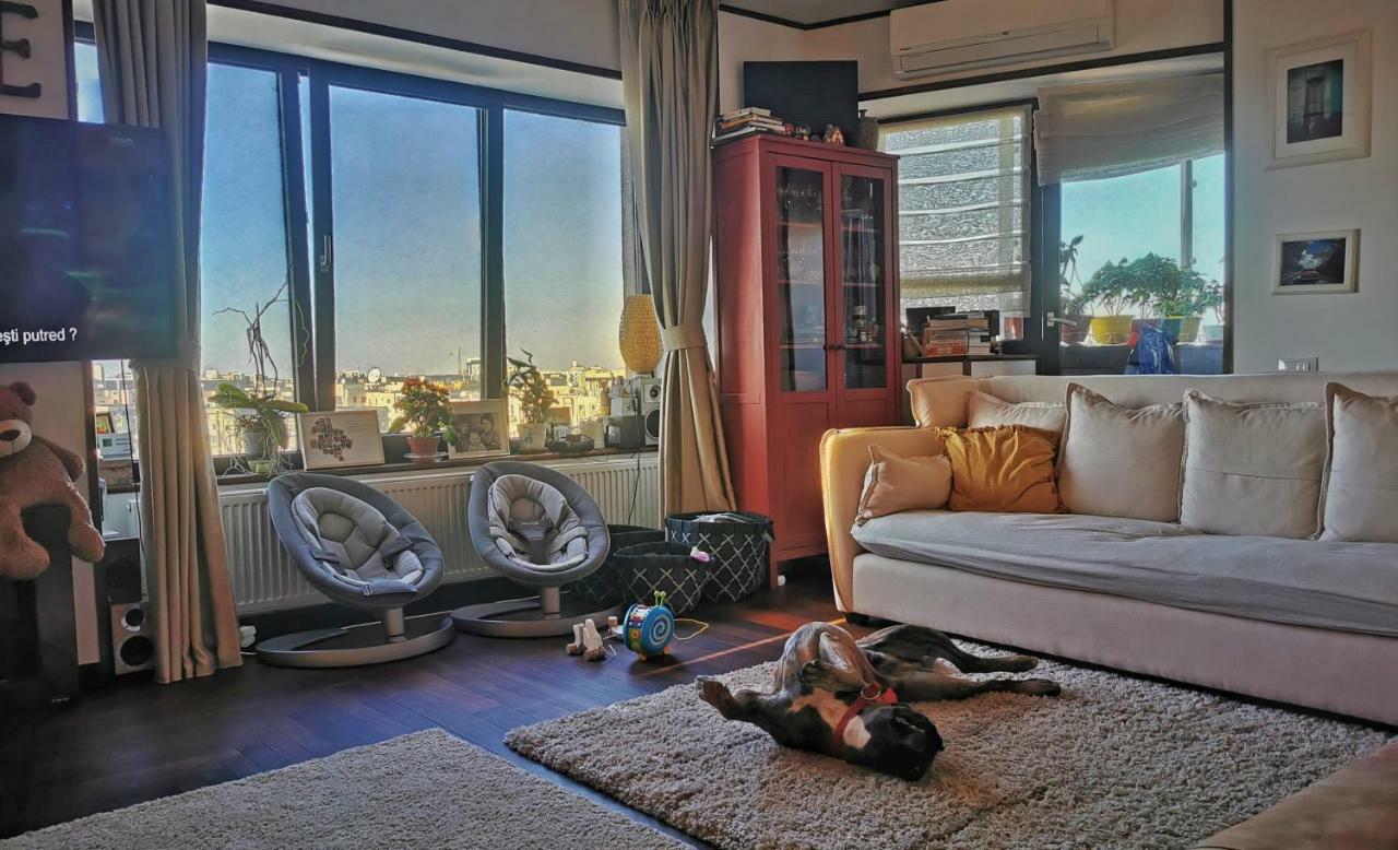 Downtown Penthouse With Fantastic Views Bucarest